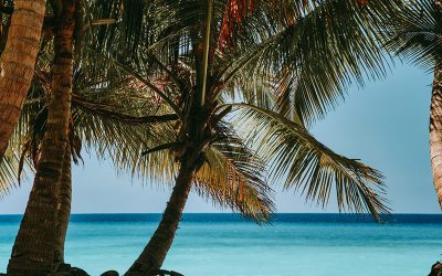 Gran Vuelta a Madagascar