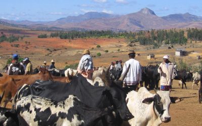 El altiplano malgache